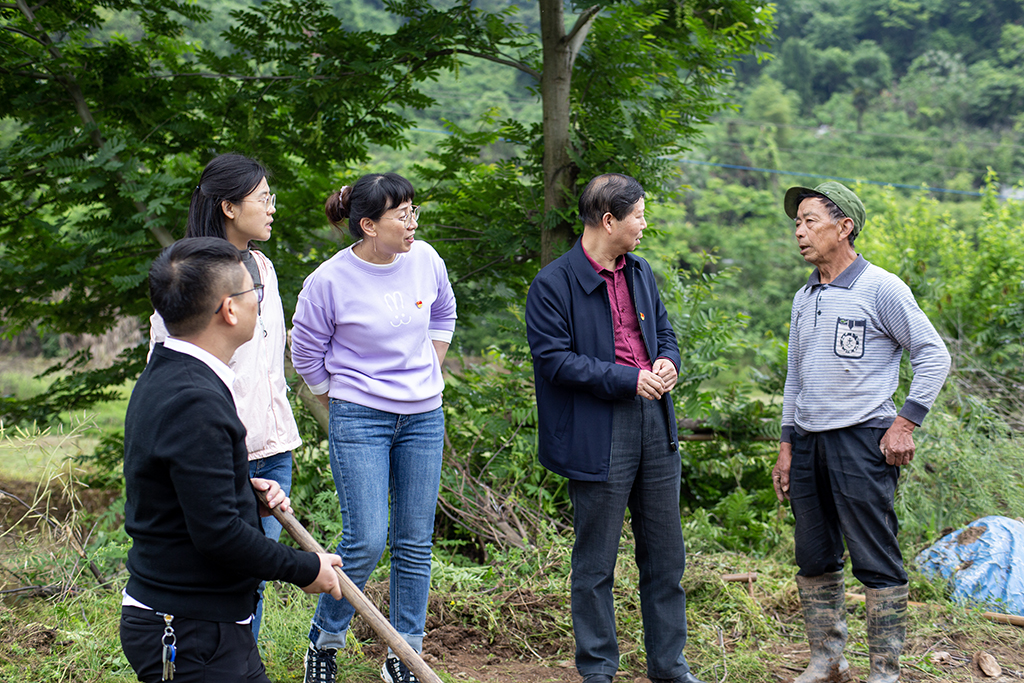 主題黨日創新(xīn)意 田間地頭鬧春耕