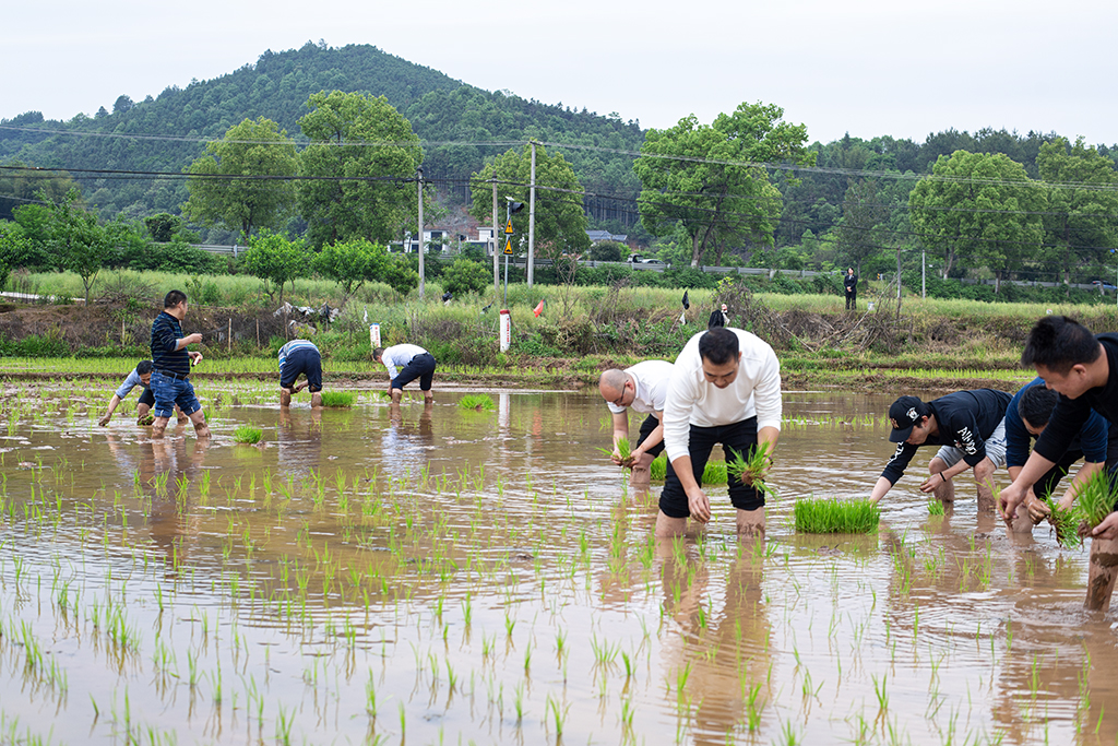 主題黨日創新(xīn)意 田間地頭鬧春耕